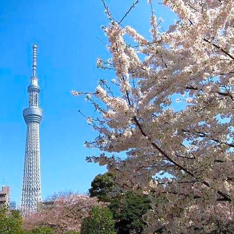 First Cabin Shinbashi Atagoyama Tokio Exterior foto